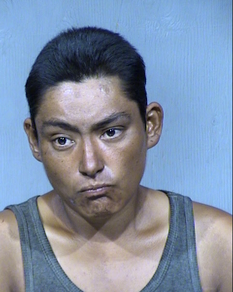 Erika Rose Gerardo Mugshot / Maricopa County Arrests / Maricopa County Arizona