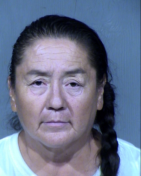 Brenda Mae Owens Mugshot / Maricopa County Arrests / Maricopa County Arizona