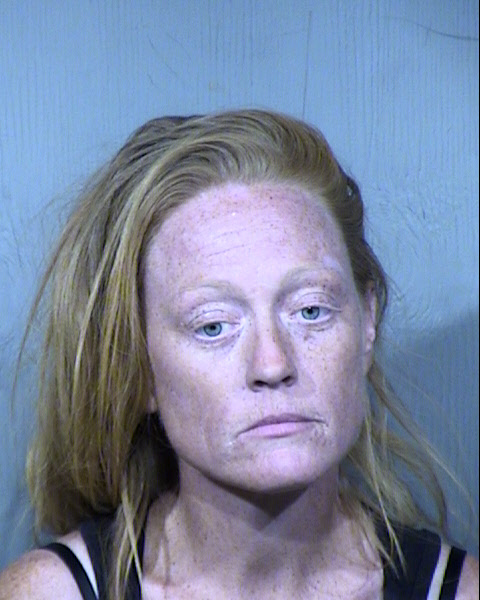 Jamie Susanne Taylor Mugshot / Maricopa County Arrests / Maricopa County Arizona