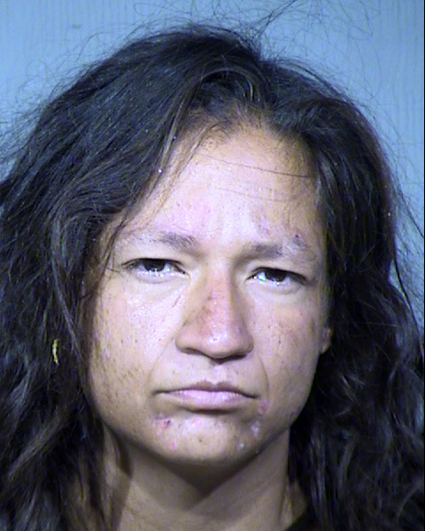 Julianna Marie Garza Mugshot / Maricopa County Arrests / Maricopa County Arizona