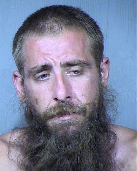 David Michael Levine Mugshot / Maricopa County Arrests / Maricopa County Arizona