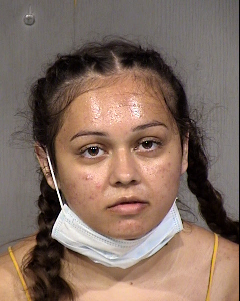 Sierra Lynn Dolan Mugshot / Maricopa County Arrests / Maricopa County Arizona