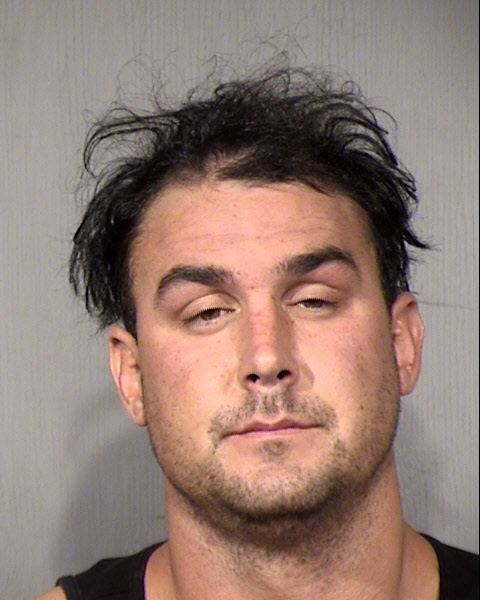 Lucas Saul Johnson Mugshot / Maricopa County Arrests / Maricopa County Arizona