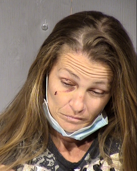 Melissa Danish Mugshot / Maricopa County Arrests / Maricopa County Arizona