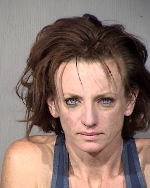 Meighan Leigh Thompson Mugshot / Maricopa County Arrests / Maricopa County Arizona