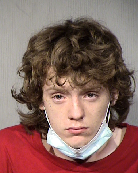 Roger James Anthon Parkison Mugshot / Maricopa County Arrests / Maricopa County Arizona