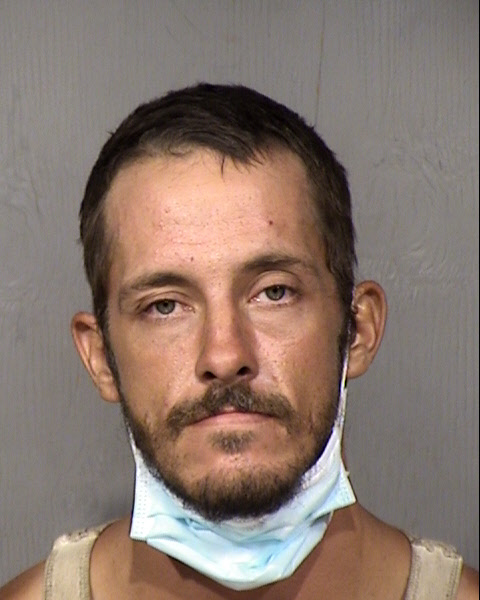 Alvin James Arland Mugshot / Maricopa County Arrests / Maricopa County Arizona