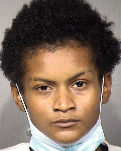 Stevie Gina Rebekah Johnson Mugshot / Maricopa County Arrests / Maricopa County Arizona