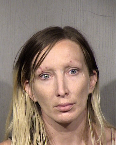 Hannah Renee Burmeister Mugshot / Maricopa County Arrests / Maricopa County Arizona