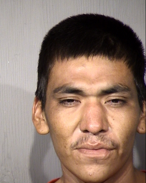 Lyle Ray Smith Mugshot / Maricopa County Arrests / Maricopa County Arizona